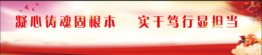 凝心铸魂固根本，实干笃行显担当!